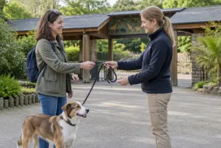 Une visiteuse confie son chien à une personne de confiance devant l’entrée d’un zoo.