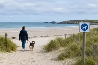 Propriétaire promenant son chien en laisse sur une plage bretonne près d’un panneau réglementaire.